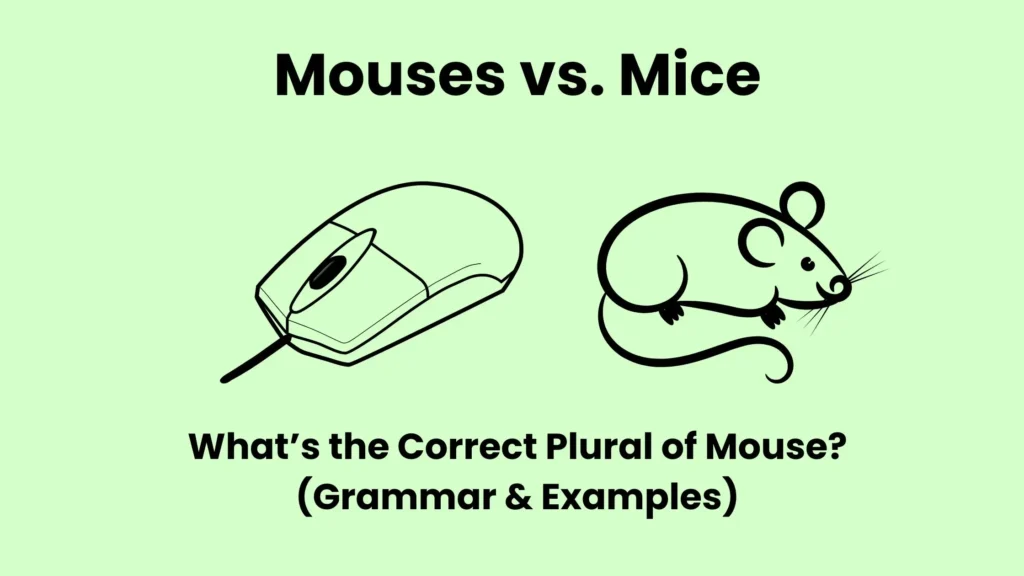 Mouses vs. Mice